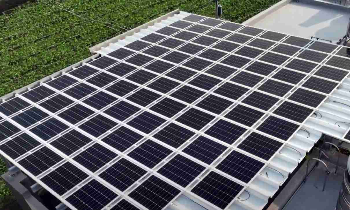 赏金国际SunSteel光电浪板升级双玻结构，，以提升机械负载强度及气候耐候度，，，可广泛运用于多元场域